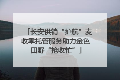 长安供销“护航”麦收季托管服务助力金色田野“抢收忙”