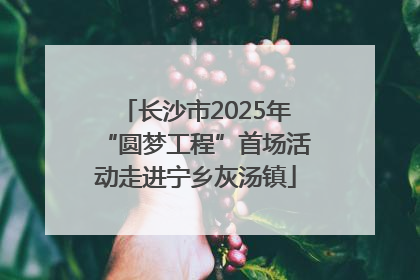 长沙市2025年“圆梦工程”首场活动走进宁乡灰汤镇