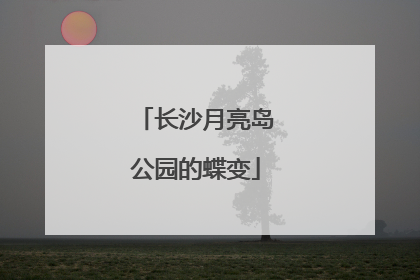 长沙月亮岛公园的蝶变