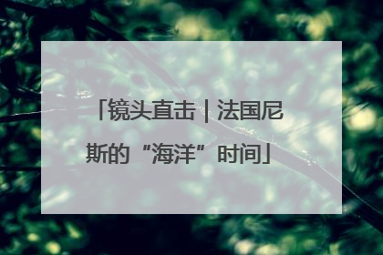镜头直击｜法国尼斯的“海洋”时间