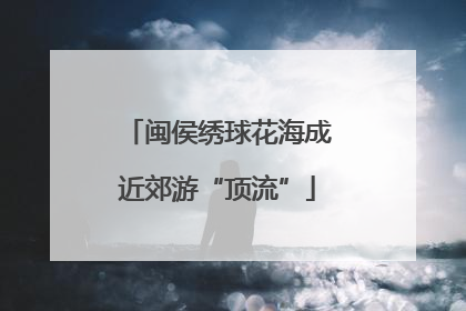 闽侯绣球花海成近郊游“顶流”