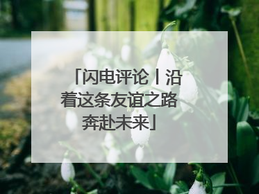 闪电评论丨沿着这条友谊之路奔赴未来