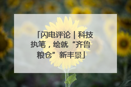 闪电评论｜科技执笔，绘就“齐鲁粮仓”新丰景