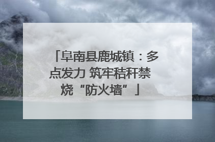 阜南县鹿城镇：多点发力 筑牢秸秆禁烧“防火墙”