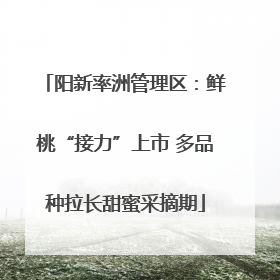 阳新率洲管理区：鲜桃“接力”上市 多品种拉长甜蜜采摘期