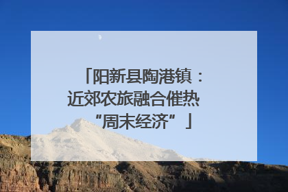 阳新县陶港镇：近郊农旅融合催热“周末经济”