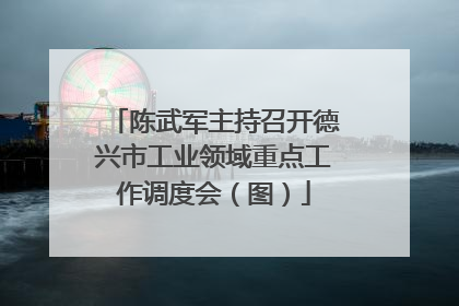 陈武军主持召开德兴市工业领域重点工作调度会（图）