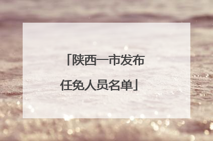 陕西一市发布任免人员名单
