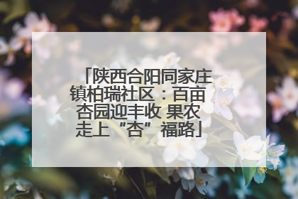 陕西合阳同家庄镇柏瑞社区：百亩杏园迎丰收 果农走上“杏”福路