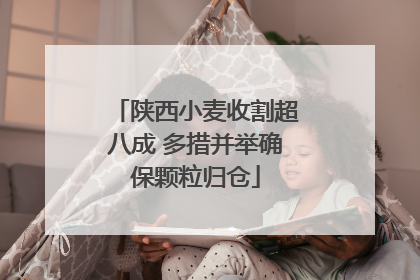 陕西小麦收割超八成 多措并举确保颗粒归仓