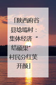 陕西府谷县埝墕村：集体经济“结硕果” 村民分红笑开颜