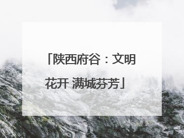 陕西府谷：文明花开 满城芬芳
