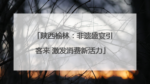 陕西榆林：非遗盛宴引客来 激发消费新活力