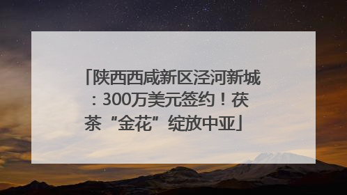 陕西西咸新区泾河新城：300万美元签约！茯茶“金花”绽放中亚
