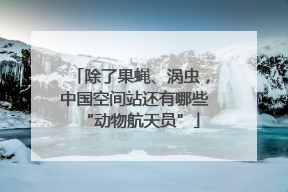 除了果蝇、涡虫，中国空间站还有哪些“动物航天员”