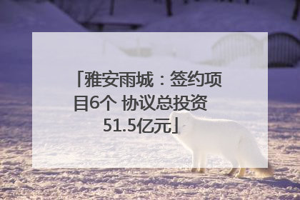 雅安雨城：签约项目6个 协议总投资51.5亿元