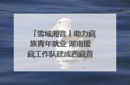 雪域湘音丨助力藏族青年就业 湖南援藏工作队建成西藏首个清洁能源装备园