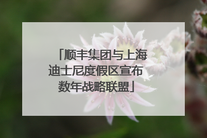 顺丰集团与上海迪士尼度假区宣布数年战略联盟