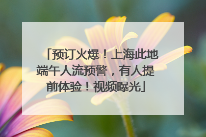 预订火爆！上海此地端午人流预警，有人提前体验！视频曝光