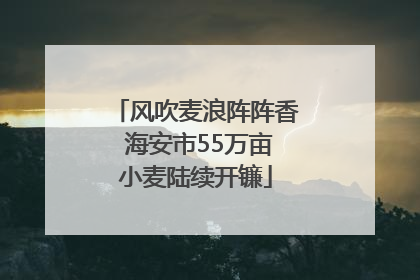 风吹麦浪阵阵香 海安市55万亩小麦陆续开镰