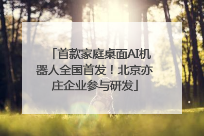 首款家庭桌面AI机器人全国首发！北京亦庄企业参与研发
