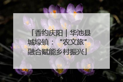 香约庆阳｜华池县城壕镇：“农文旅”融合赋能乡村振兴
