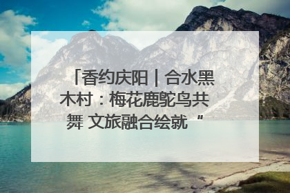 香约庆阳｜合水黑木村：梅花鹿鸵鸟共舞 文旅融合绘就“诗与远方”
