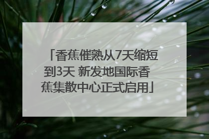 香蕉催熟从7天缩短到3天 新发地国际香蕉集散中心正式启用