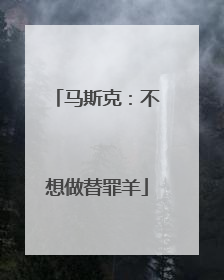 马斯克：不想做替罪羊