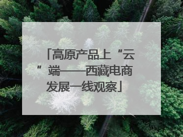 高原产品上“云”端——西藏电商发展一线观察