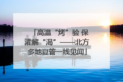 高温“烤”验 保灌解“渴”——北方多地夏管一线见闻