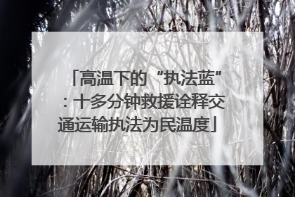 高温下的“执法蓝”：十多分钟救援诠释交通运输执法为民温度