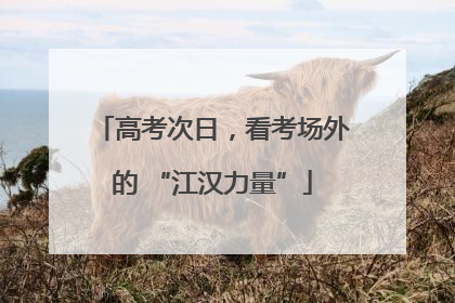 高考次日，看考场外的 “江汉力量”