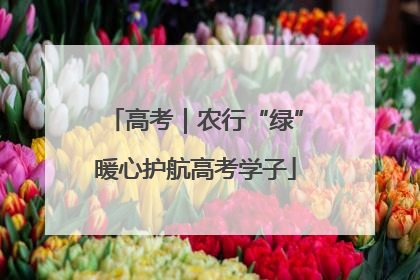 高考｜农行“绿”暖心护航高考学子