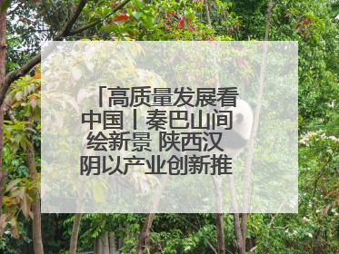 高质量发展看中国丨秦巴山间绘新景 陕西汉阴以产业创新推进高质量发展