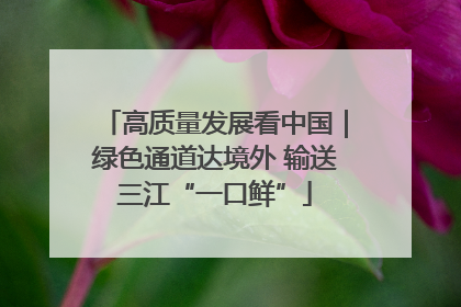 高质量发展看中国｜绿色通道达境外 输送三江“一口鲜”