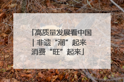 高质量发展看中国｜非遗“潮”起来 消费“旺”起来