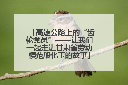 高速公路上的“齿轮党员”——让我们一起走进甘肃省劳动模范殷化玉的故事
