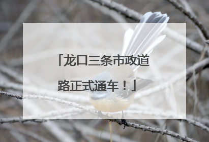 龙口三条市政道路正式通车！