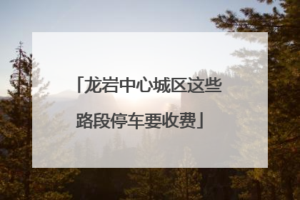 龙岩中心城区这些路段停车要收费