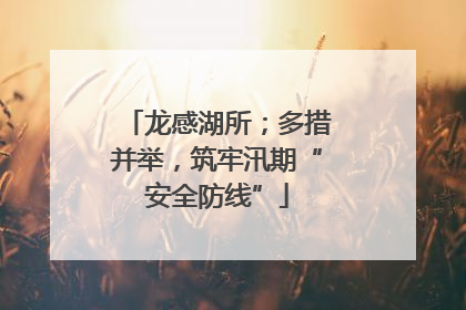 龙感湖所；多措并举，筑牢汛期“安全防线”