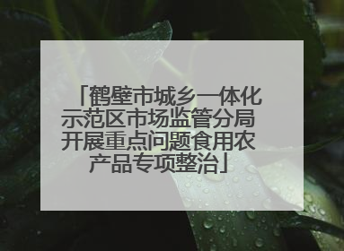 鹤壁市城乡一体化示范区市场监管分局开展重点问题食用农产品专项整治