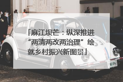 麻江坝芒：纵深推进“两清两改两治理”绘就乡村振兴新图景