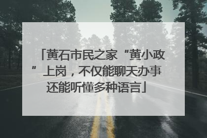 黄石市民之家“黄小政”上岗，不仅能聊天办事还能听懂多种语言