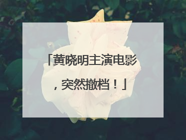 黄晓明主演电影，突然撤档！