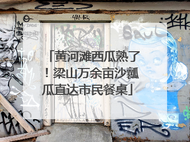 黄河滩西瓜熟了！梁山万余亩沙瓤瓜直达市民餐桌