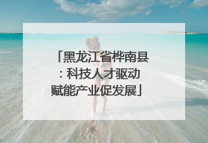 黑龙江省桦南县：科技人才驱动 赋能产业促发展
