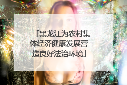 黑龙江为农村集体经济健康发展营造良好法治环境