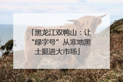 黑龙江双鸭山：让“绿字号”从寒地黑土挺进大市场