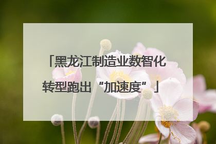 黑龙江制造业数智化转型跑出“加速度”